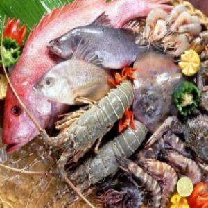 Recherche un fournisseur de produits halieutiques - poissons bonjour --nous un cherchons un fournisseur de produits halieutiques sur  salvador pour un partenaire. --merci de nous contacter pour plus d'informations. 