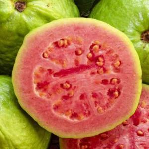  Recherche Client Pour Mucilage, Goyave, Corossol - fruits et légumes cherche acheteur s&eacute;rieux pour divers fruits exotiques en provenance d'am&eacute;rique latine et disponible toute l'ann&eacute;e tels que le fruit du dragon corossol baby banane goyave et slime ou mucilage de cacao. importation en france et suisse