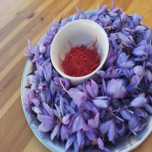  Safran Bio Du Maroc Recolte 2023 - épices aromates safran naturel  a vendre recolte 2023 --origine - maroc --analyses disponible --possibilite exportation 