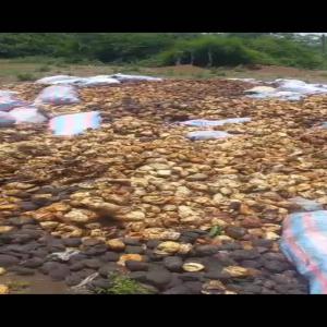  Achat De Caoutchouc Font De Tasse Naturel - matiere vegetale une soci&eacute;t&eacute; d'achat de caoutchouc recherche du caoutchouc naturel de cote d ivoire (h&eacute;v&eacute;a) 5 000 tonnes pour le mois mars lieur de r&eacute;ception du produit au port d’abidjan et bien d autre. offre exclusivement r&eacute;serv&eacute;e au. prix apromac plus 20f nb