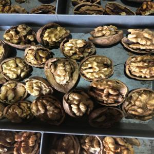  Walnuts Inshell From Ukraine - roasted seeds and nuts walnut inshell from ukraine. --excellent for cracking. --yield 50-55%. --30% of halves. --can be delivered in big bags. 