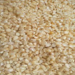  Stock Disponible - céréales bonjour nous sommes un groupe agroalimentaire nous avons une stock importante de céréales tel que le maïs, le soja,  le haricot,  l'huile d'arachide,  le sésame.... --contactez nous et vous serez servir avec prestige 