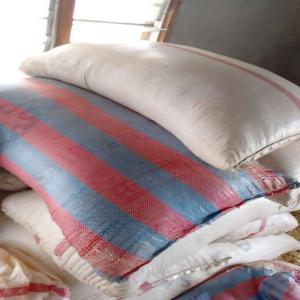  Available - cereals  hello we are an agri-food group we have a large stock of cereals such as corn,  soya,  beans,  peanut oil,  sesame,  sweet potato.. contact us and you will be served with prestige