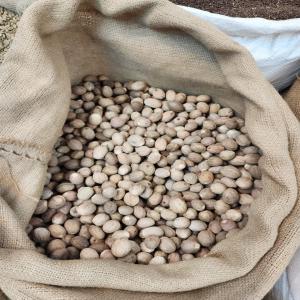  Clients Français - épices aromates acheteur potentiel des produits comme ---poivre noire,  poivre blanc,  muscade,  feuilles de laurier,  clou de girofle, piment sèche 
