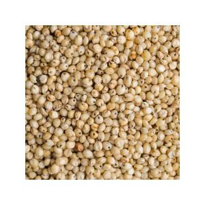  Cereale Disponible En Grande Quantité - céréales  chers membres nous sommes une entreprise agroalimentaire bas&eacute; au s&eacute;n&eacute;gal (dakar) nous disposons de produits c&eacute;r&eacute;aliers tel que le mil le sorgho blanc et rouge le haricot blanc et rouge le s&eacute;same etc nous vendons &agrave; la tonne nos pr