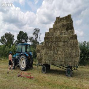  Propose Petites Bottes Foin/paille/luzerne - aliments pour animaux vends bottes moyenne densité --environ 14kg.---foin luzerne 2e coupe 2023 --3  l'unité  --composition - 85% luzerne,  15% dactile/trèfle/etc.. excellente qualité---foin/regain 2e coupe 2023 prairie naturelle --3  l'unité--composition - différents trèfl