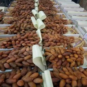  Vente Meilleurs Dattes De Biskra 2023 - fruits et légumes nous sommes en pleine de p&eacute;riode de r&eacute;colte annuelle de dattes il ya 2 vari&eacute;t&eacute;s gamme sup&eacute;rieur a partir de 4 euro le kilo et datte inf&eacute;rieur &agrave; partir de 2.50 euro le kilo livrer en france par avion selon la quantit&eacute; et le conditionnement souha