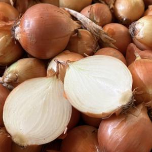  Oignons Jaunes Espagnols Qualité Premium 40/60mm - fruits et légumes nous disposons d'oignons grano espagnols  jaunes de calibre 40/60mm que l'on peut vous servir en sacs de 20 ou 25kg. qualité parfaite pour l'exportation. --photos disponibles par whatsapp