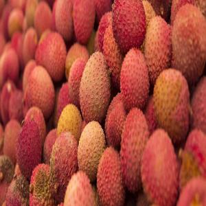 Cherche Fournisseur De Litchi Fruit - fruits et légumes je suis a la recherche d'un fournisseur de litchi fruit de madagascar au maroc.. si vous etes interessés contactez moi. merci