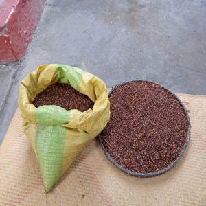  Girofle Cg3 Et Poivre Lourd Noir - épices aromates nous sommes sis &agrave; madagascar nous mettons en vente des produits de bonne qualit&eacute; et au norme comme le girofle poivre lourd et possibilit&eacute; pour d'autres produits locaux de saison. vous pouvez nous contacter pour plus de d&eacute;tails et avoir notre offre qui est abordable. 