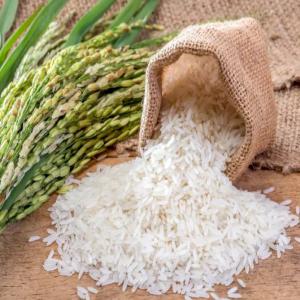  Riz Inde Ir64 Parboiled 25% Broken - céréales variété--origine- inde--ir 64 long grain indian parboiled rice 25% broken----ports de livraison--lome (togo),  cotonou (benin),  abidjan (côte d’ivoire),  douala (cameroun),  dakar (senegal)----prix--cif 568 usd/mt----quantité--moq - 10 containers--la capacité du produc
