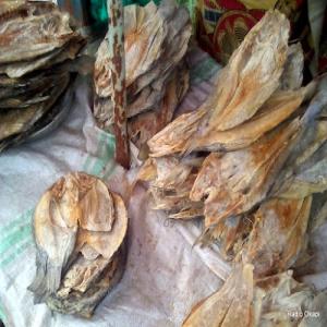  Vente De Poissons Salés Et Séchés Bitoyo Et Petet - poissons nous sommes fournisseur et grossiste de produits alimentaires exotiques - poissons salés et séchés bitoyo,  kongo ya sika ,  petits poissons fretins séchés ndakala poissons fretins séchés ndakala et chenilles séchées mbinzo en provenance d