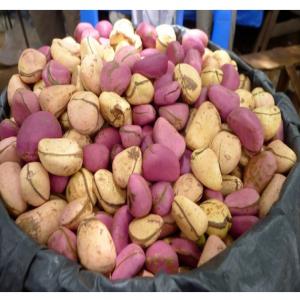  Recherche De Clients Et De Partenariat - fruits et légumes bonjour nous sommes une coopérative agricole basée en côte d'ivoire précisément a l'ouest de la côte d'ivoire et sommes à la recherche de clients pour l'achat de la noix de cola et de petit cola.--a cet effet ,  nous sommes pret a mettre a votre disposit