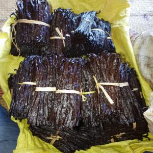  Vanille Et Girofle De Madagascar - épices aromates  je suis en création de mon entreprise. --cherche des acheteurs de vanille  , girofle de madagascar produits de qualité. --vanille  échantillons possible  pour les acheteurs en europe par mon intermédiaire domicilié en france. ------