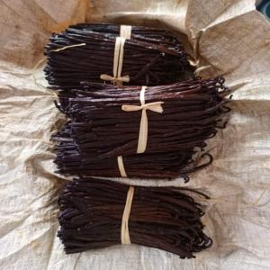  Vanille Et Girofle De Madagascar - épices aromates pouvoirs vous fournir des produits des qualit&eacute;s. vanille girofle de madagascar. quelques soit la qualit&eacute; puis quantit&eacute; besoin. 