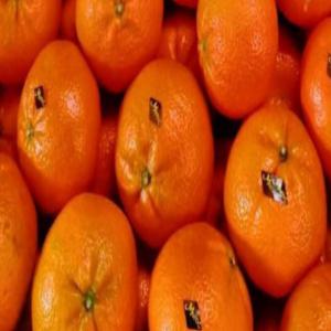  Mandarines Nadorcot - fruits et légumes ; nous mettons en ventes une quantit&eacute; de 900 tonnes de mandarines vari&eacute;t&eacute;s nadorcot. quantit&eacute; par commande 1 tc de 40 pieds. cordialement