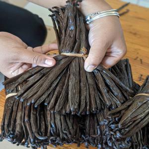  Vente De Vanille De Madagascar - épices aromates bonjour à tous--voulez-vous goûter la saveur et la beauté de madagascar ?... --nous vendons de la vanille bourbon de madagascar  de qualité supérieure très parfumée et pret à éxporter --noir tk --noir gourmet --18 cm et plus --250 € le kg