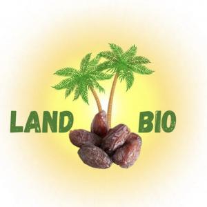  Grand Quantité D avocat Disponible - fruits et légumes les avocats du maroc sont r&eacute;put&eacute;s pour leur texture cr&eacute;meuse et leur go&ucirc;t d&eacute;licat. cultiv&eacute;s dans des conditions id&eacute;ales de climat ensoleill&eacute; ces avocats offrent une chair tendre et savoureuse. 