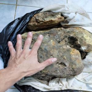  Ambre Gris, Vomis De Baleine Vendre. - pierre roche bonjour,   je vend 5 à 10kg d'ambre gris.  photo et vidéo de la découverte disponible sur demande.--n'hésitez pas à me contacter. échantillon testé. 
