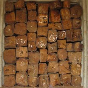  Recherche Acheteur - bois charbon fibre je recherches des clients s&eacute;rieux et fiables pour achat grumes de bois et sciages (tali,  padouk, teck, eucalyptus,  iroko,  aozbe,  bibolo,  sapelli etc..) 