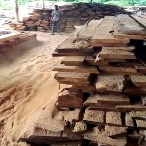  Scierie En Vente En Côte D'ivoire - mine terrain concession nous cédons pour un propriétaire une scierie d'une valeur de 500 millions de francs cfa avec le matériel.--le terrain y compris d'un espace de 1 ha avec tous les agréments