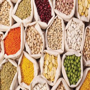  Chickpeas, Lentils, Yellow Peas, Pigeon Peas - seed plant seed chickpeas,  lentils,  yellow peas,  pigeon peas.we suply premium quality products,  contact us for more details about our products.----