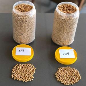  Non-gmo Soya Beans - feed specifications-soybean non gmo # 2( human consumption)--quality- standard export quality--type - non-gmo fit for human consumption--moisture- 13.5% maximum--max splits - 20%--protein- 35% basis,  34%minimum--max colour- 2%--oil content - 18.5% basis,  18.0% minimum--test weight- 54 pounds/min/bushel--
