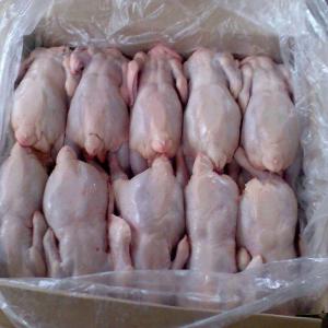  Frozen Whole Chicken, Chicken Feet, Chicken Paws, - meat and eggs frozen whole chicken for human consumption. a. frozen chicken skin white (grade a). b. weight 1000gm 1300gm. c. without feathers without skin yellow. d. clean and fresh. e. without chicken legs. f. sin contusions. sin h. burns. i. no odor. j. without blood. k. the humidity to be less tha