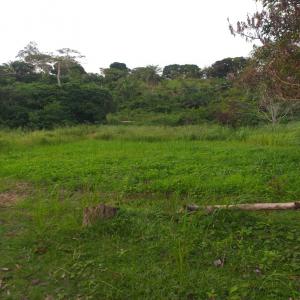  Location D'espaces Agricoles - mine terrain concession bonjour a tous ,  nous mettons en location un terrain de 5 hectares,  situé dans la région du pool (congo brazzaville),  plus précisément dans le district de boko,  ce dernier est situé à l'extreme sud-est de la république du congo,  principalement a 2h de