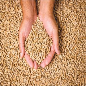  Pellet En+ A1 - energie renouvelable distributeur grossiste en pellet dans le dpt 62 vous propose du pellet 100% r&eacute;sineux de tr&egrave;s bonne qualit&eacute; certifi&eacute; en + a1 commande par camion de 22 palettes de 84 sacs de 15kg. reste &agrave; disposition pour plus d'information 