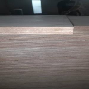  Exploitant Du Bois Okoume Du Gabon - Industrie exploitation nous recherchons la clientèle pour vendre du---bois okoumé--utilisations intérieur de contreplaqué,  face ou contre face de contreplaqué--placage,   tranché panneau latté--coffrage,  emballage-caisserie--moulure menuiserie intérieure--lambris,  meu