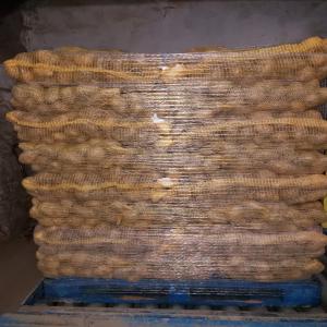  Fournisseur B2b En Gros Sur L'ile De France - fruits et légumes notre entreprise,  bas&eacute;e en &icirc;le-de-france,  est sp&eacute;cialis&eacute;e dans la vente de produits frais en gros et demi-gros. nous offrons des produits de qualit&eacute;,  provenant de france (locaux) et de l'international,  notamment d'italie,  des pays-bas et d'espagne.--nous sommes fier