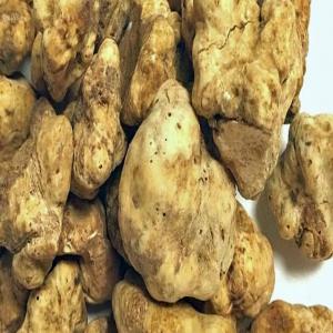  Truffes Du Maroc - matiere vegetale vente de truffes fraîches bio  et en conserve du sahara marocain. --truffes vos plats avec de produits terroirs marocain