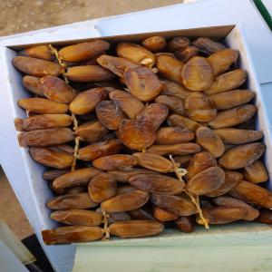 Dattes de Première et Deuxième Qualité en Gros :  - autres explorez l'excellence des dattes  votre partenaire de confiance pour un approvisionnement en gros. nous vous proposons une sélection exclusive de dattes premium en provenance de tunisie,  d'algérie,  d'égypte,  des émirats arabes unis,  et de notre propre production marocaine