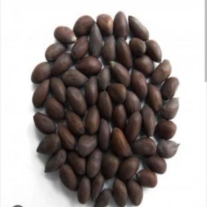  Have Seed Cotton And Soybean For 5000 Tonnes. - roasted seeds and nuts i have cotton seed and soja avalaible in benin.--fob price for cotton seed - $700--fob price for soybean - $800 --if you are interested,  you must provide us with proof of funds,  issue a signed and sealed loi.-- we will require an irrevocable lc through an international bank among the top 50. no comp