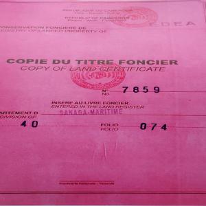  Terrain Contenant Une Palmeraie Douala - autres vente d'un terrain contenant une palmeraie &agrave; douala dans la perspective de projet d usine de vos compatriotes &agrave; douala au cameroun. nous nous permettons respectueusement de vous adresser une offre de vente d'un terrain avec titre foncier en esp&eacute;rant votre int&eacute;ret