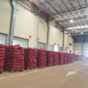  300 Tonnes Oignons Port Senegal - fruits et légumes bonjour  en tant qu'exportateurs passionnés de fruits et légumes au maroc,  nous sommes fiers de nos nombreuses fermes agricoles disséminées à travers toute l'afrique de l'ouest notre expertise nous permet d'exporter une grande variété de fruits,  l&eac