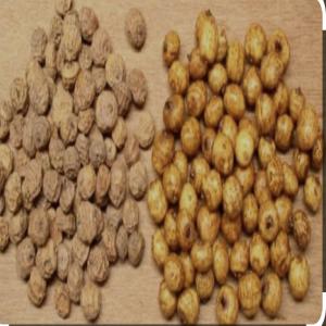  Acheteur De Souchet En Gros - autres acheteur potentiel de souchet en sac de 100kg à partir de niger. c’est possible de livrer au port de lomé (togo) où bien le port de cotounou (bénin). 