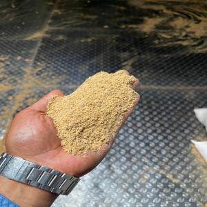  Looking For Soya Meal Buyer - feed hello every one--i am looking for a soya meal buyer for animals feeding at affrodable price of 510 usd per ton cif.--thanks to contact me.