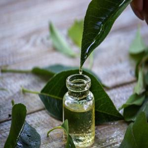  Huile De Laurier Pure 100% Naturelle - huiles découvrez notre huile de laurier pure,  100% naturelle et bénéfique pour la santé,  la beauté et la cuisine. profitez de ses multiples usages et bienfaits,  quel que soit votre besoin en volume --l'huile de laurier est extraite des feuilles du laurier noble (laurus no