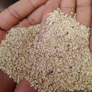 Vente De Sesame - autres découvrez la richesse du sésame avec notre sélection premium ,  riche en saveurs,  en nutriments et bénéfique pour la santé.--des graines de qualité supérieure pour une expérience culinaire exceptionnelle.--commandez maintenant et laissez 