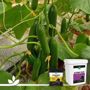  Liquid Fertilizers And Bio Simulants - chemical fertilizer additive with more than 30 years of experience,  genta is one of the leading companies in turkey that produces and markets plant nutrition,  seeds,  and hobby gardening products. in all these businesses,  genta is positioned as a researcher,  developer,  producer,  distributor,  importer,  and exporter (north africa, 