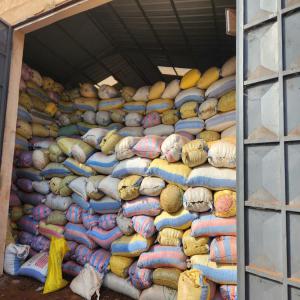  Noix De Karité Du Burkina Faso - fruits secs et graines grillées nouveau stock de 20000 tonnes  de noix  de karit&eacute; disponible  &agrave; un prix abordable. nous avons besoin de client pour la vente--veuillez nous contacter si vous etes int&eacute;ress&eacute; ----