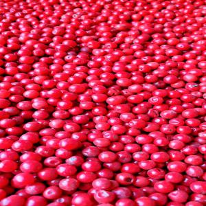  Baies Roses, Poivre Sauvage, Piment Pili-pili - épices aromates - baies roses- venant de madagascar,  trié,  produits traités(traitement thermique),  en stock 2 000kg--- piment pili-pili- venant de madagascar,  trié,  produits traités(traitement thermique),  en stock 250kg--vous pouvez me contacter