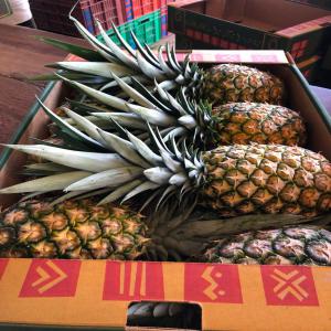  Premium Quality Exotic Fruit And Vegetables - fruits and vegetables hello ,  --are you looking for a serious fruit supplier in ivory coast? --we have exotic fruits such as pineapple,  sweet banana ,  mango and coconuts . we also have yellow and white ginger. we can supply up to 100 tons of each product every month. we are looking for a regular and serious customer to e