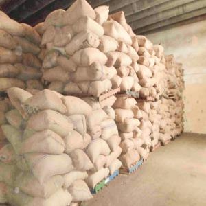  Cashew Nut - other cashew is our main commodity we trade all over the world with pouven records over more than 10 years.it is a fact and well known that ivory coast is a leading country as far as cashew is concerned.now,  the season of harvesting has started and official trade is launched by the government mid february