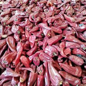  Le Piment Rouge Du Bénin - épices aromates nous avons du piment rouge séché et non séché disponible à vendre.--nous avons également toutes épiceries de la cuisine.--nb plaisentain s’abstenir 