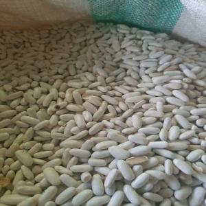  Recherche Client Produits Locaux - fruits secs et graines grillées recherche de client pour tout types de produits locaux ! tels quel les oignons ,  les graines secs ya aussi des épices et piments de toutes sortes 