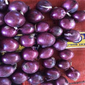  Oignon Rouge Calibre 60-80 Mm Rendu Rungis - fruits et légumes  offrez &agrave; vos clients la qualit&eacute; de l'oignon rouge hollandais calibres 60/80 avec notre offre de vente en gros de palettes enti&egrave;res. profitez de nos sacs pratiques de 5 kg ou 10 kg livr&eacute;s directement &agrave; rungis pour seulement 0 88   le kilo palette de 1250 kg . no