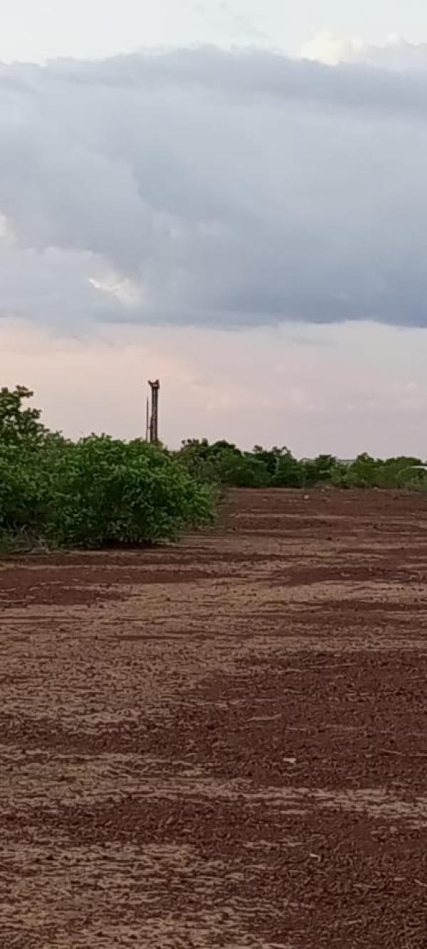  Agriculture, Pisciculture Et Élevage - Investissement capitaux je voudrais ex&eacute;cuter un projet d'agriculture de pisciculture et d'&eacute;levage sur un terrain de 71 hectares &agrave; moins de 20 kilom&egrave;tres de niamey capitale du niger. ce projet aurait besoin d'un investissement d'environ un milliard de francs cfa. le retour de l'investissement